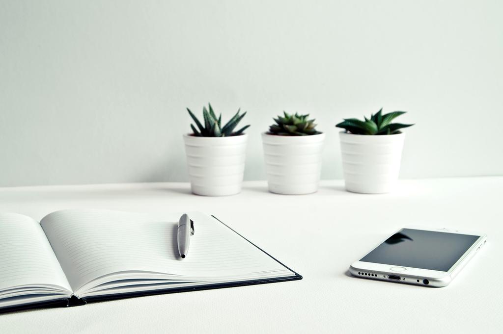 Sophia Martinez - CTO